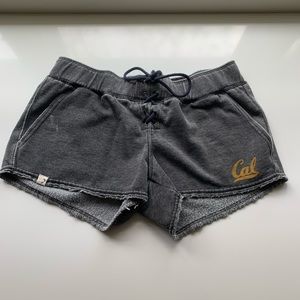 Cal Sweatshorts! 🟡🔵